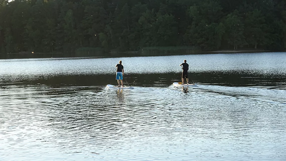 Paddle