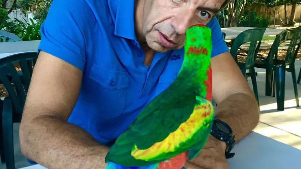 LES POUVOIRS EXTRAORDINAIRES DES ANIMAUX