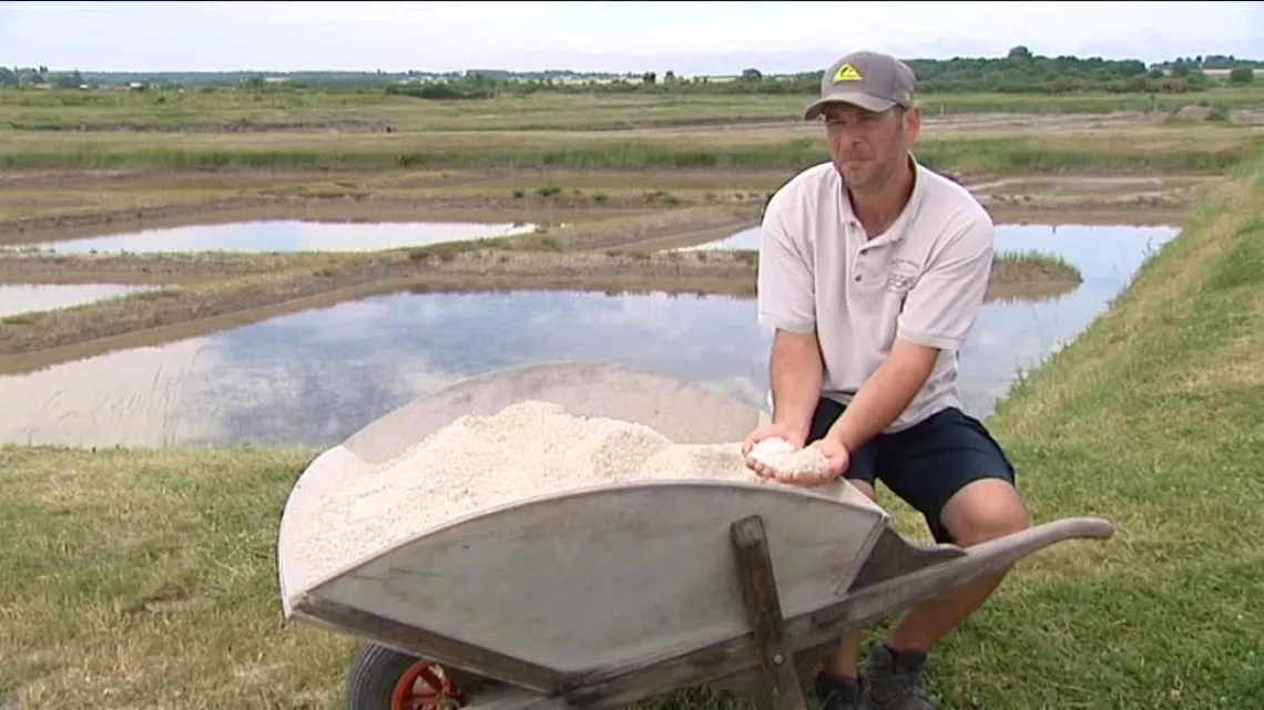 Sébastien, saulnier en Charente-Maritime