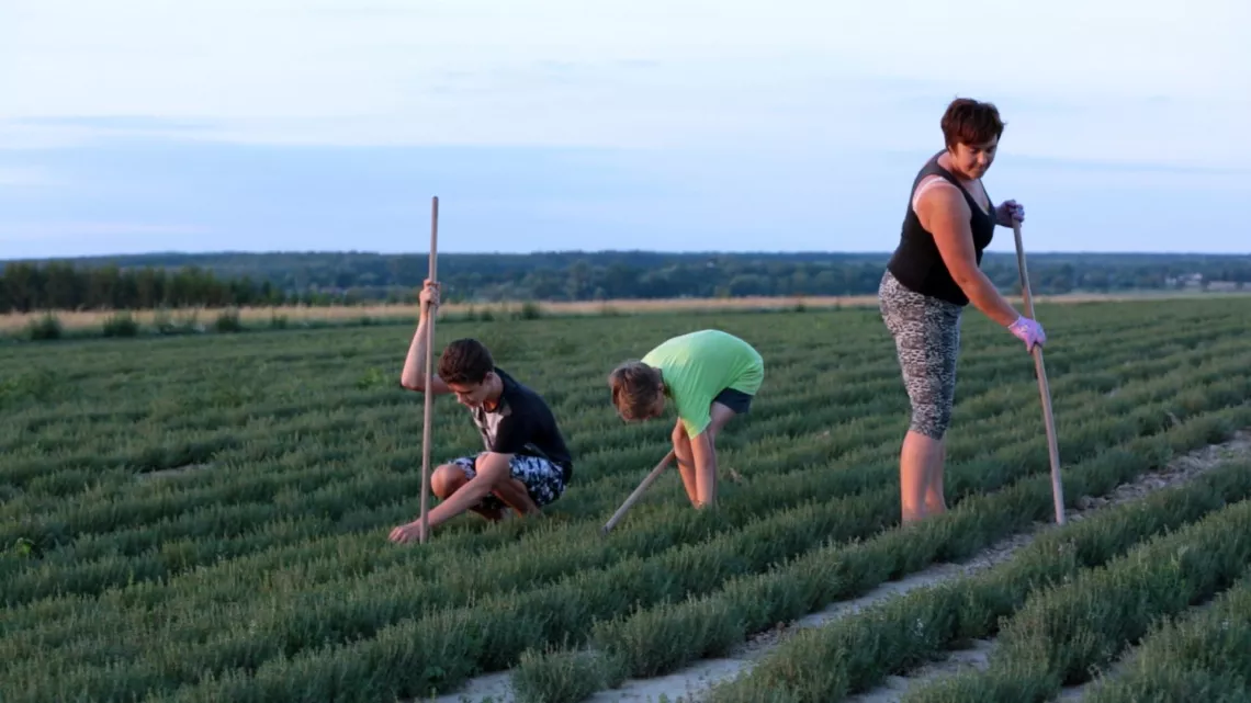 FINES HERBES ET GRANDS SECRETS
