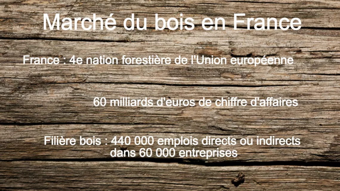 Marche du bois 