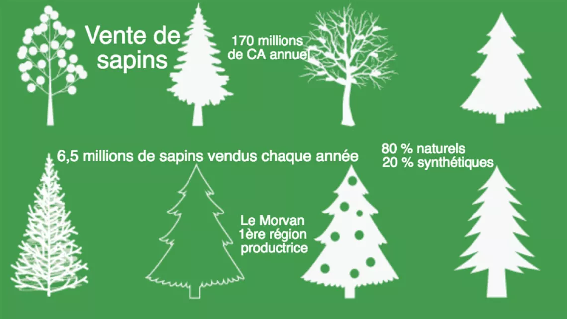 Marchés des sapins de Noël 