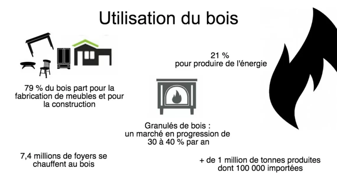Utilisation du bois 