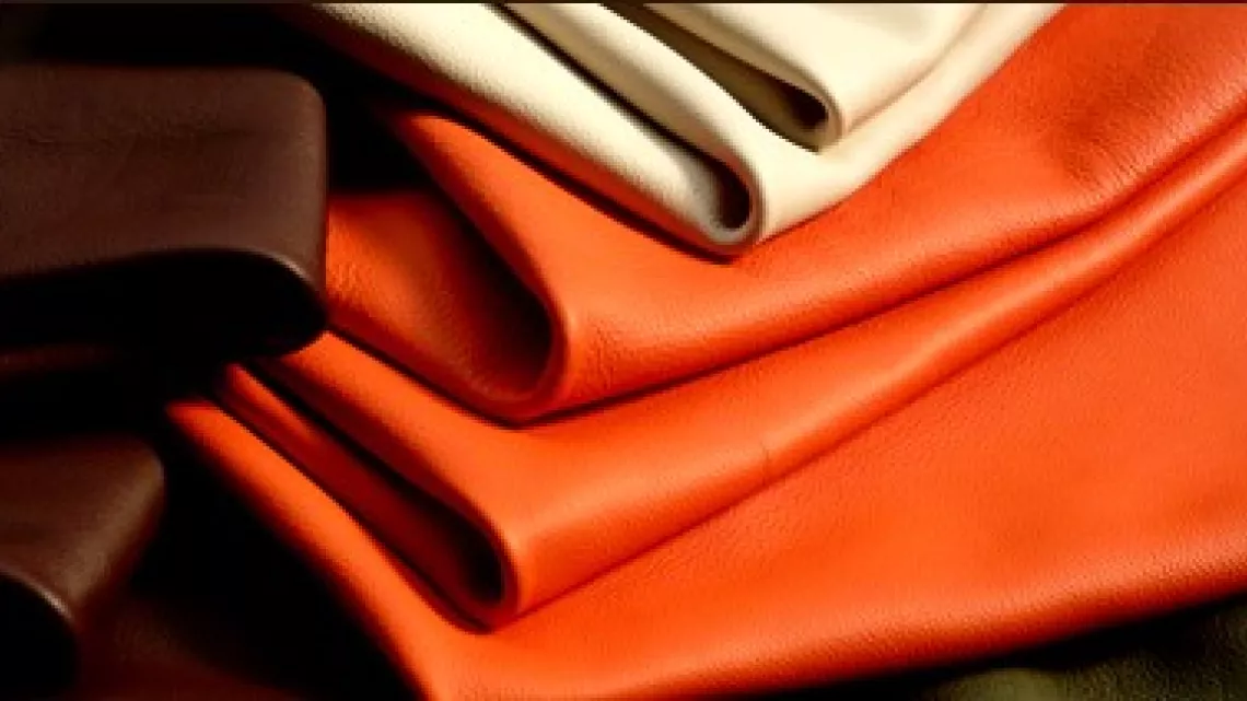 tannerie