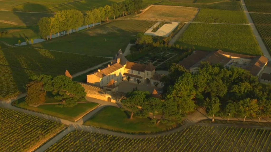 LES TRESORS DES VIGNOBLES