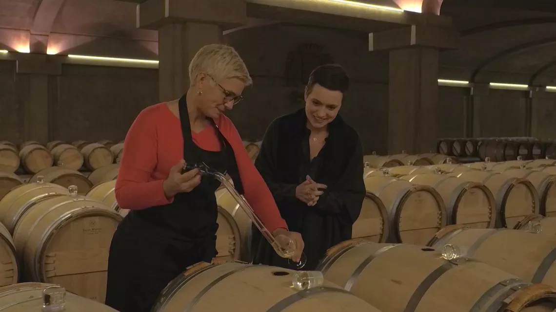 LES TRESORS DES VIGNOBLES