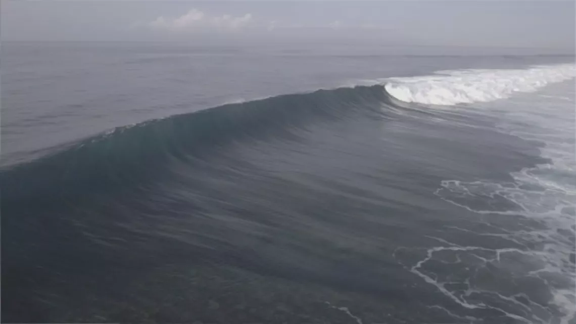 SURF QUI PEUT ! 