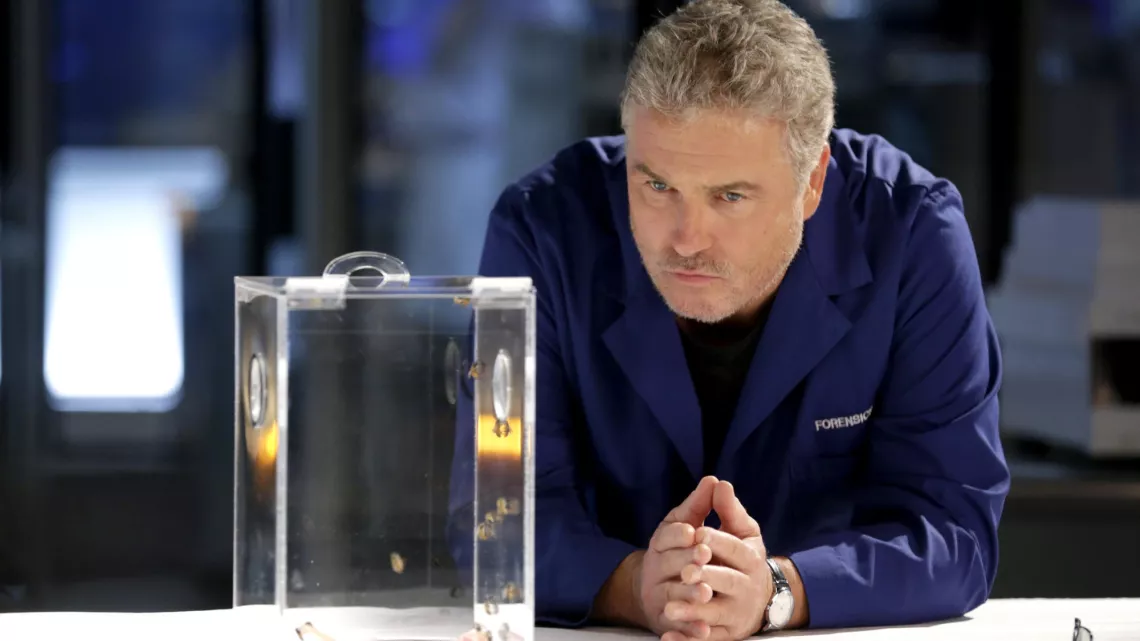 LES EXPERTS LAS VEGAS S16 - #REUNION 1ERE
