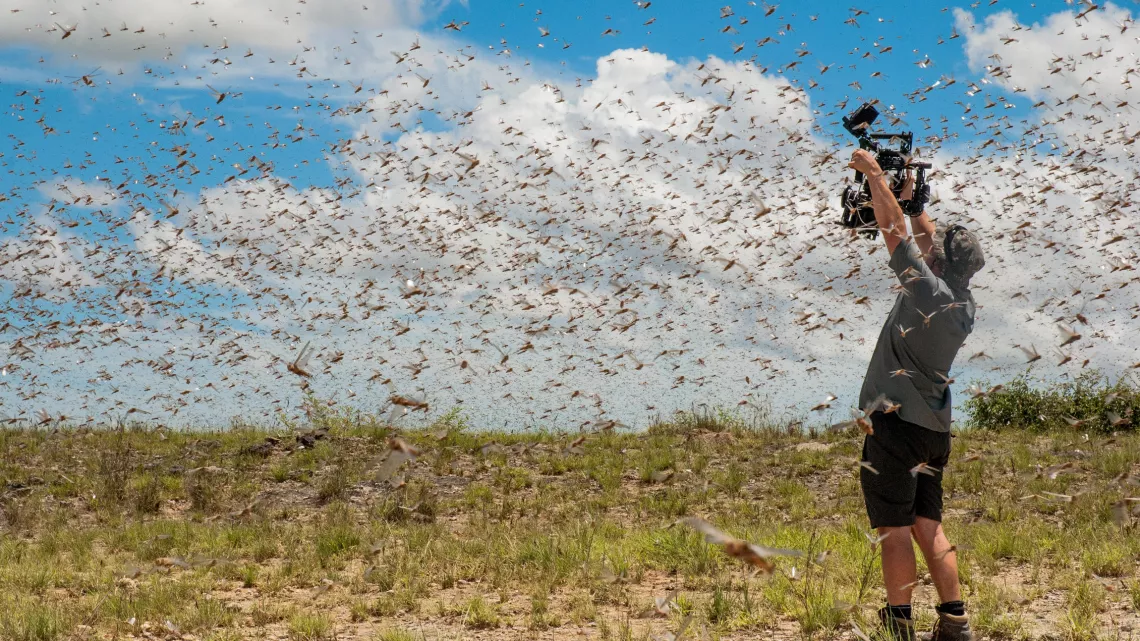 PLANÈTE ANIMALE