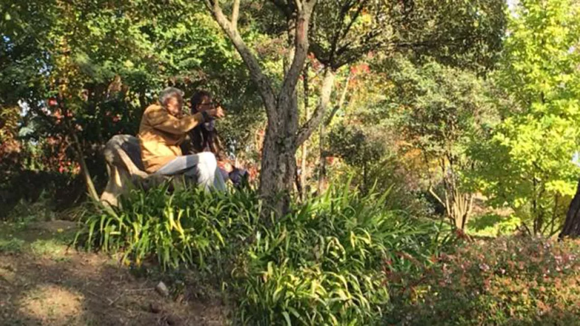 Jardin Zen d'Erik Borja 
