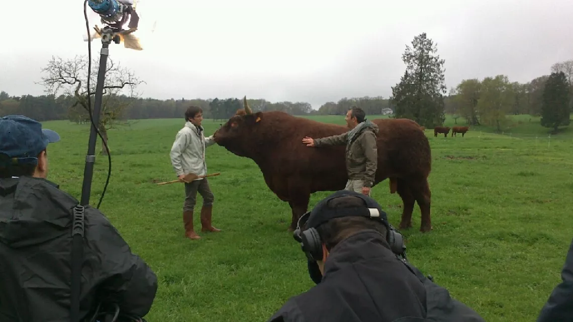 Tournage