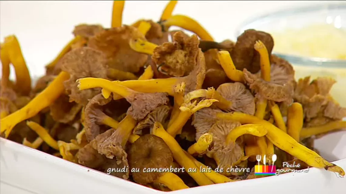 Chanterelles