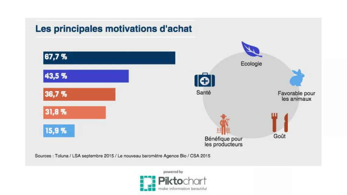 Les principales motivations d'achat