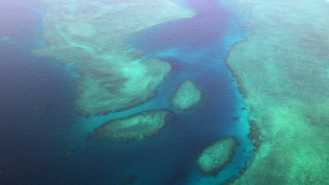"Echappées belles : Mayotte, au coeur de l'océan indien"