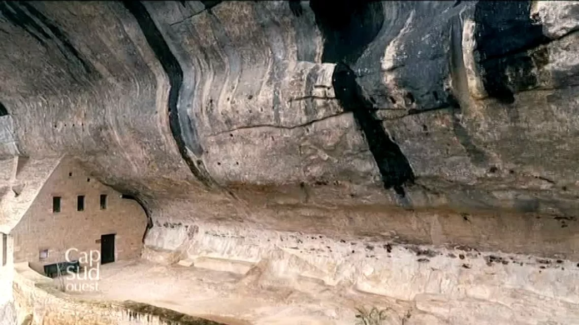 Lascaux IV
