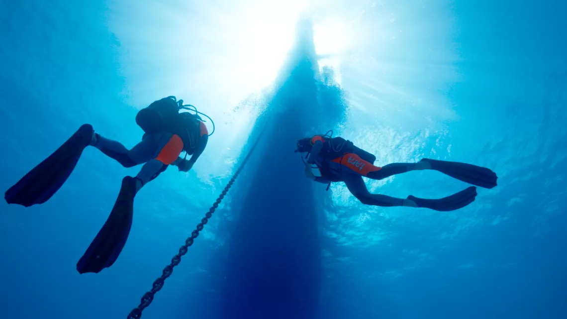 Tara, l'odyssée du corail
