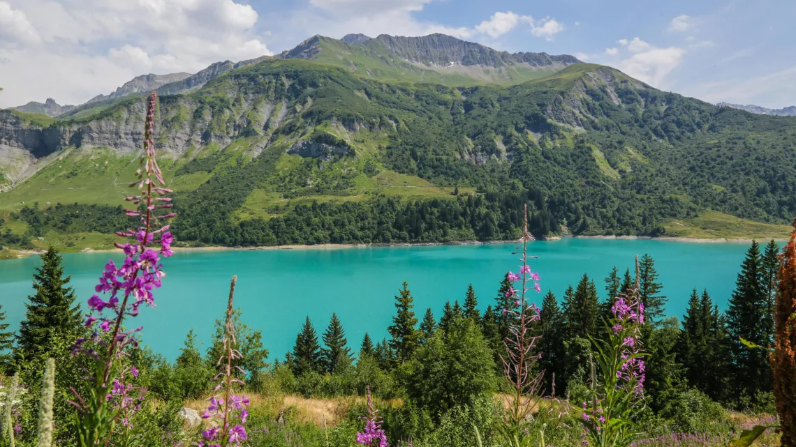 LA ROUTE DES GRANDES ALPES
