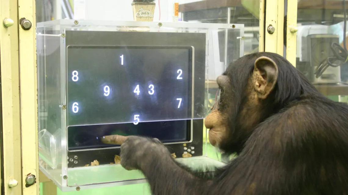 SINGES MALINS ET PERROQUETS PRODIGES