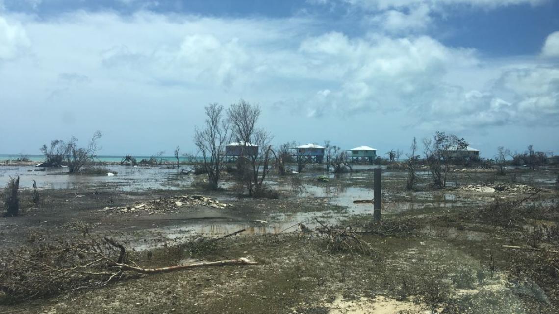 Barbuda : paysage méconnaissable, la végétation a beaucoup souffert...