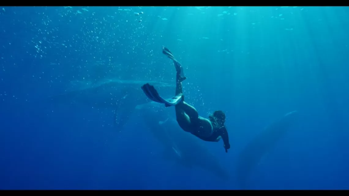 Thalassa Polynésie