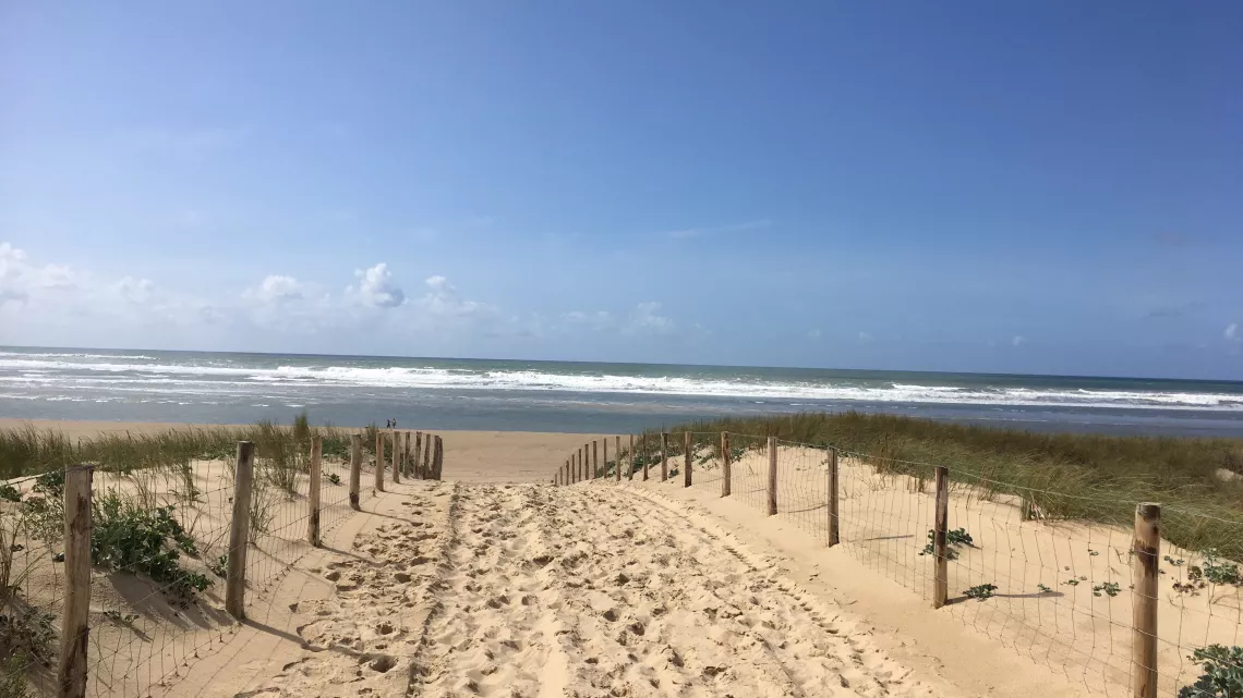Une plage du Cap-Ferret