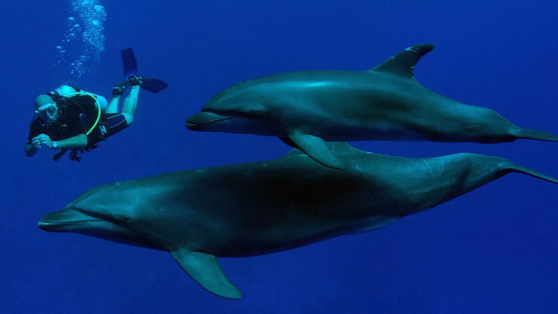 THALASSA