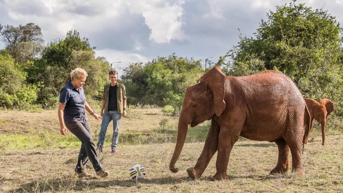 SUR LA TERRE DES ELEPHANTS