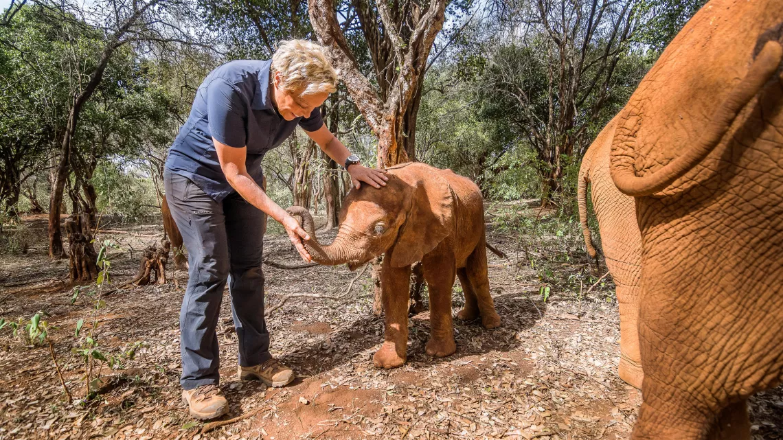 SUR LA TERRE DES ELEPHANTS