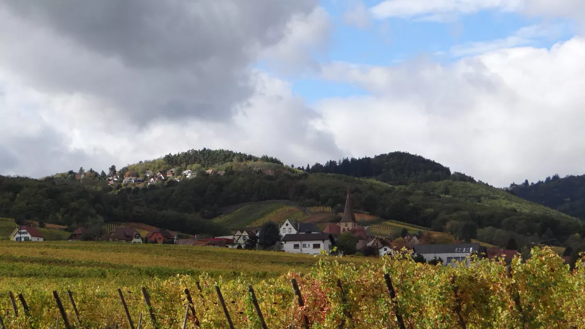 Niedermorschwihr