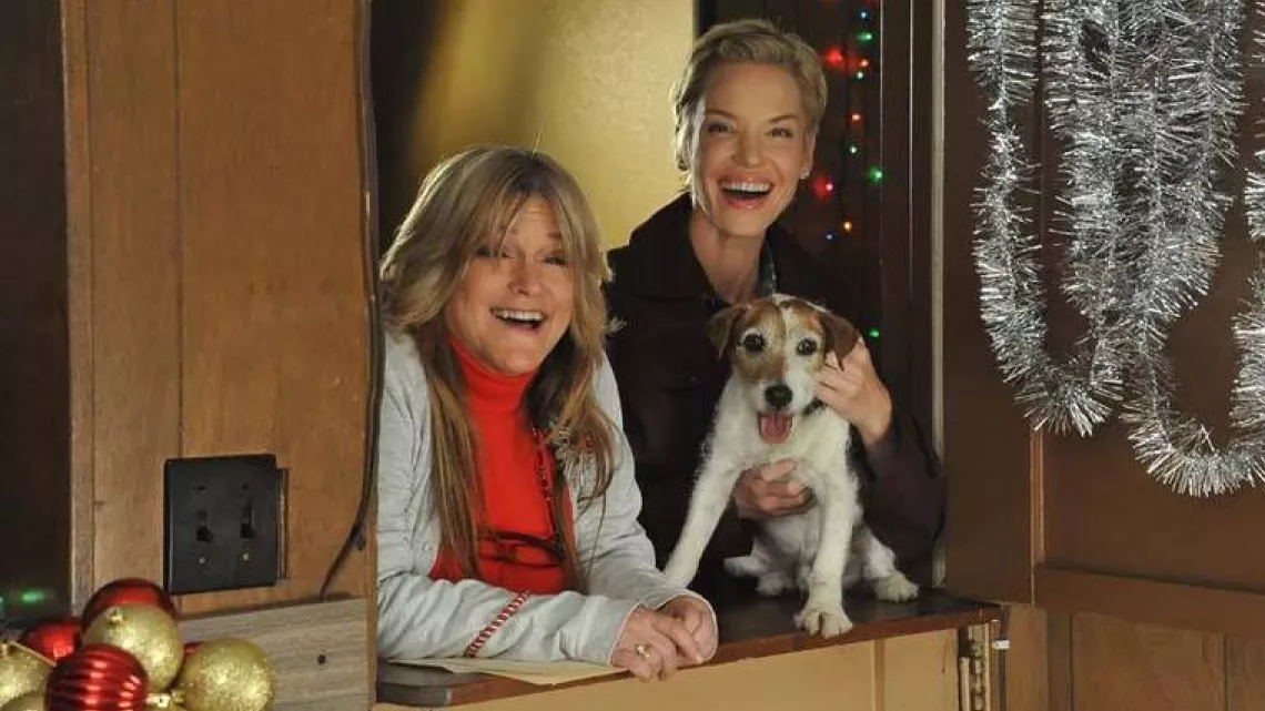 Un noël qui a du chien