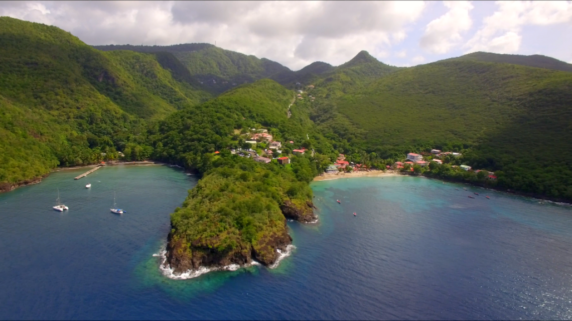 Les secrets de la mer : Martinique