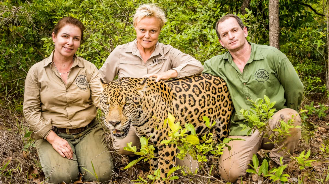 SUR LA TERRE DES JAGUARS
