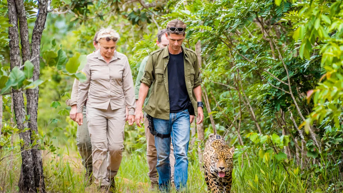 SUR LA TERRE DES JAGUARS
