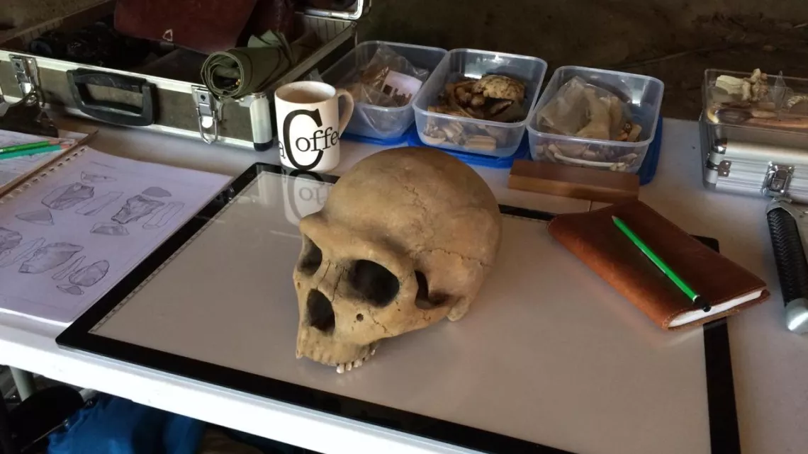 QUI A TUE NEANDERTAL ?