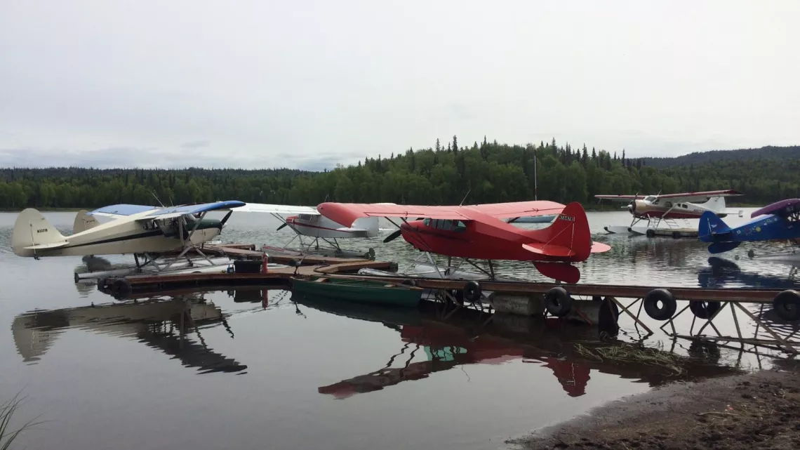 Dorine Alaska