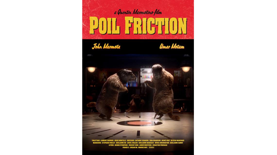Poil friction 