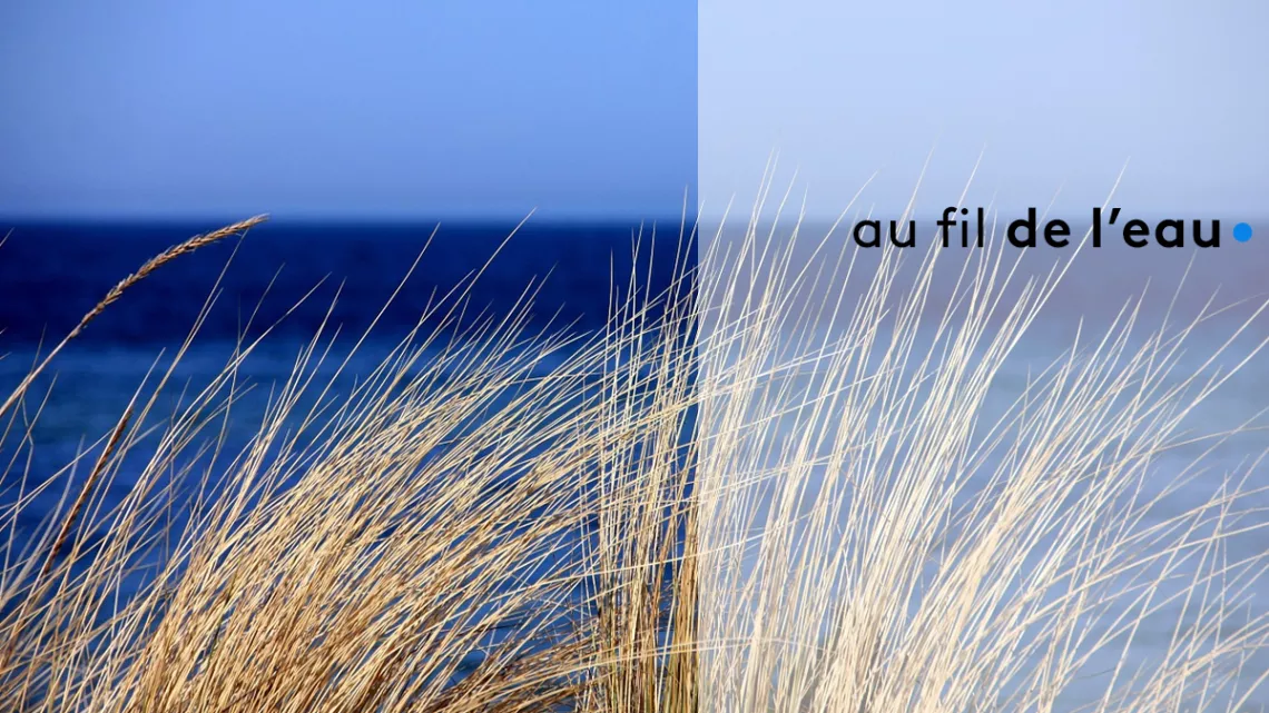 Au fil de l'eau