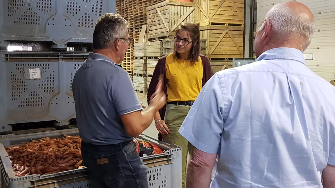 France chez un producteur d'échalion