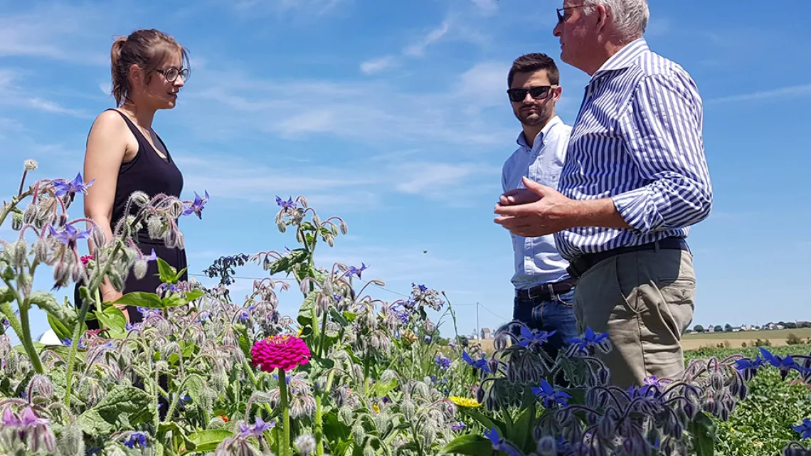 Robert explique le processus de pollinisation