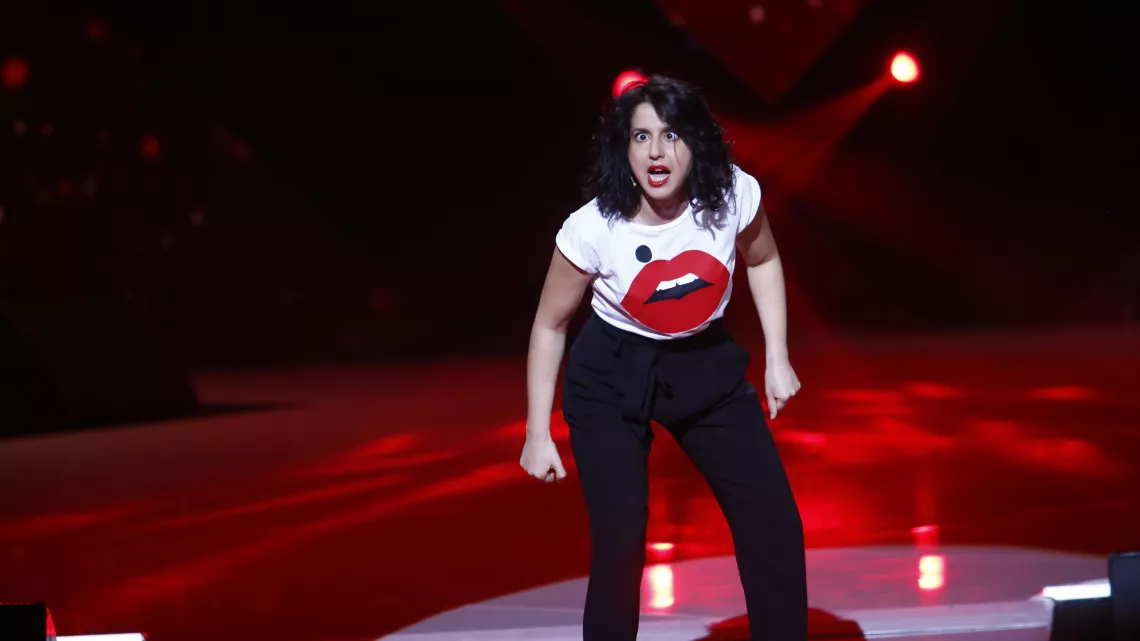LE GRAND SHOW DE L'HUMOUR