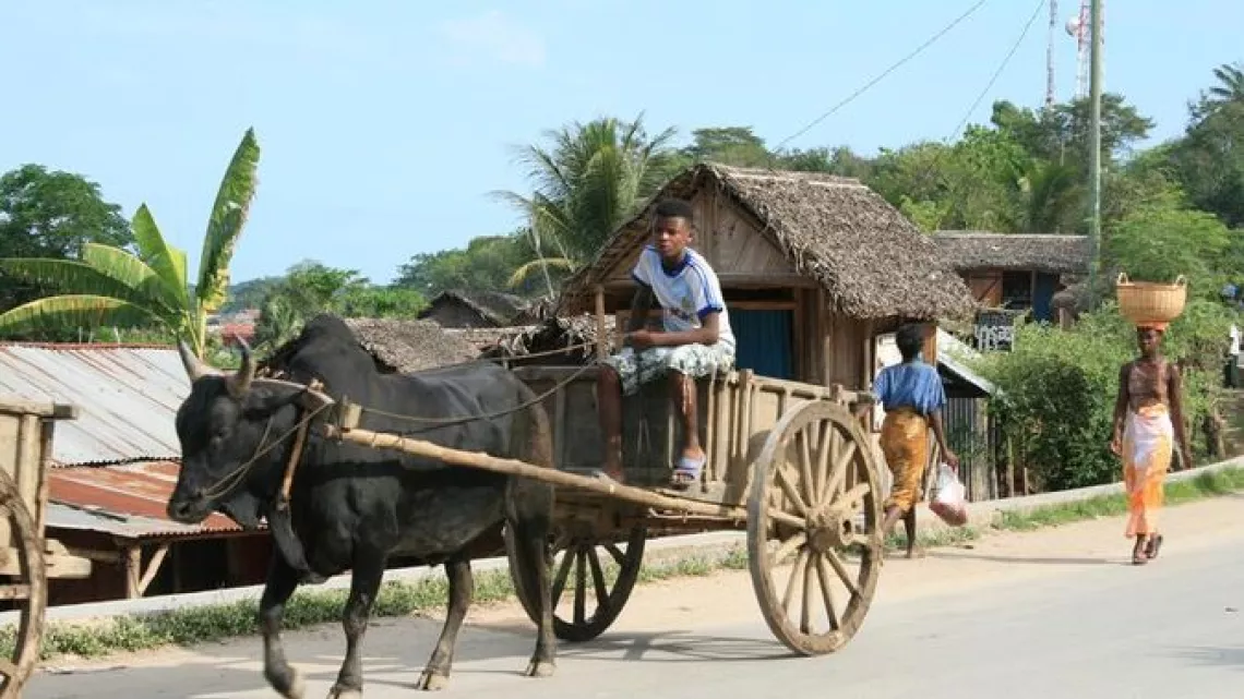 Échappées bellesMadagascar, luxuriante et généreuse