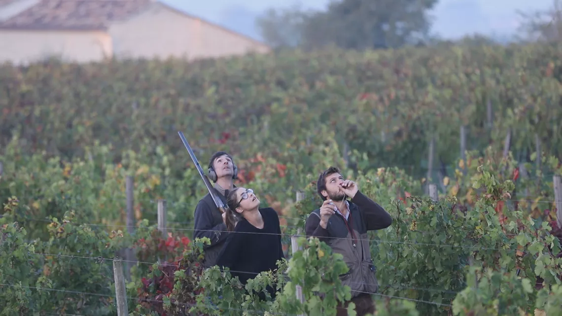 Partie de chasse entre amis