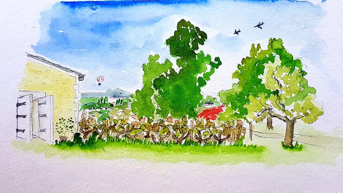 Une aquarelle des vignobles d'Adrien