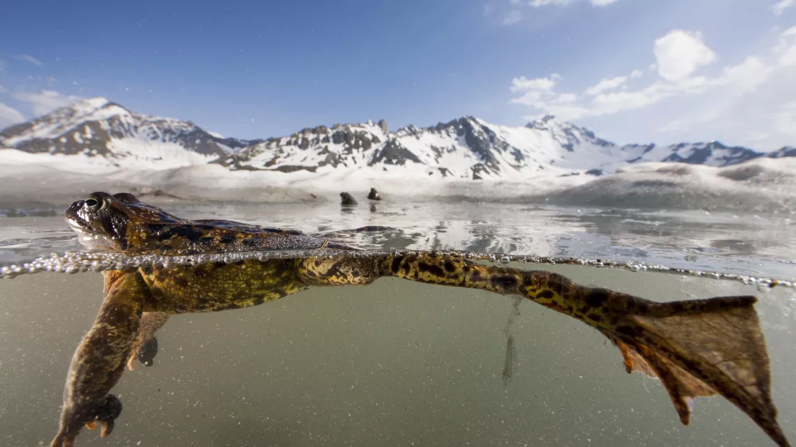 LE PLUS BEAU PAYS DU MONDE OPUS 3 : LE SANCTUAIRE