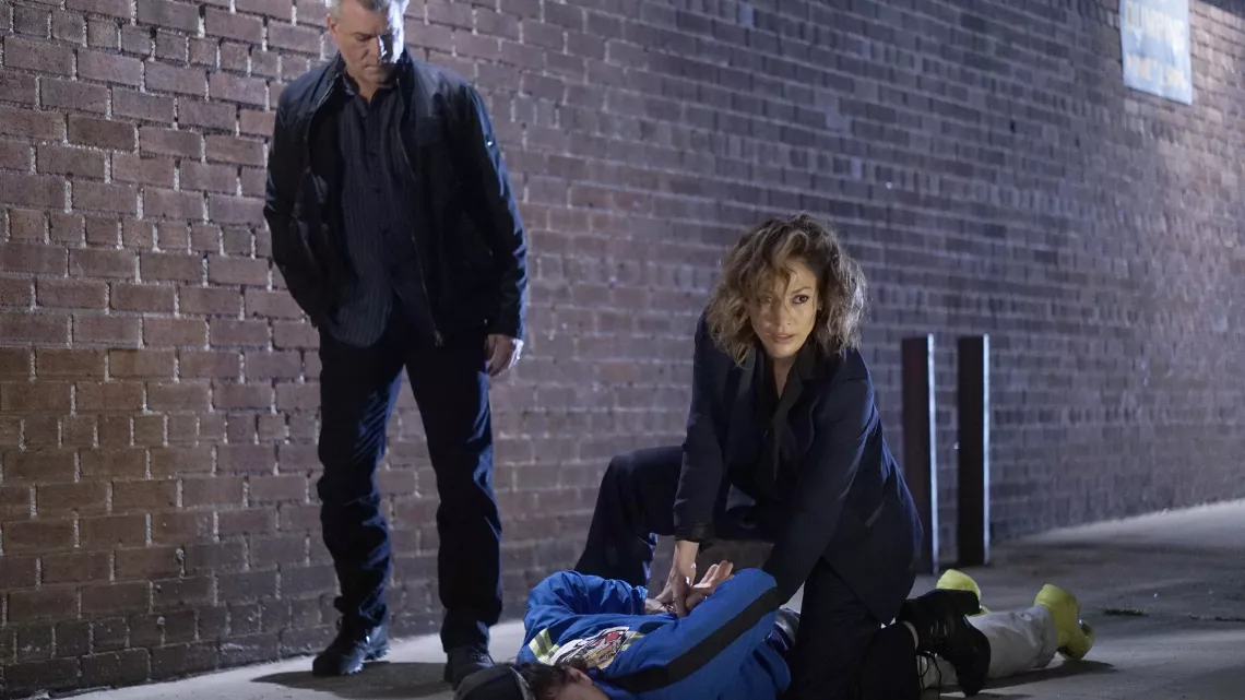 SHADES OF BLUE - SAISON 1 ET 2