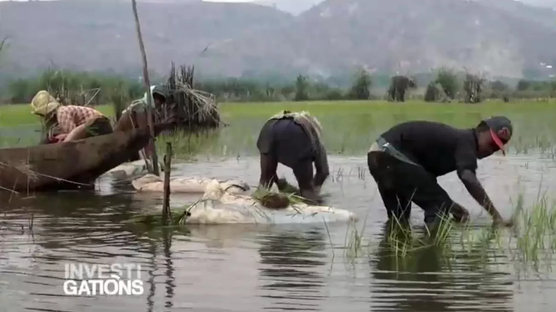 INVESTIGATIONS : MADAGASCAR L’ÎLE DE TOUS LES BUSINESS