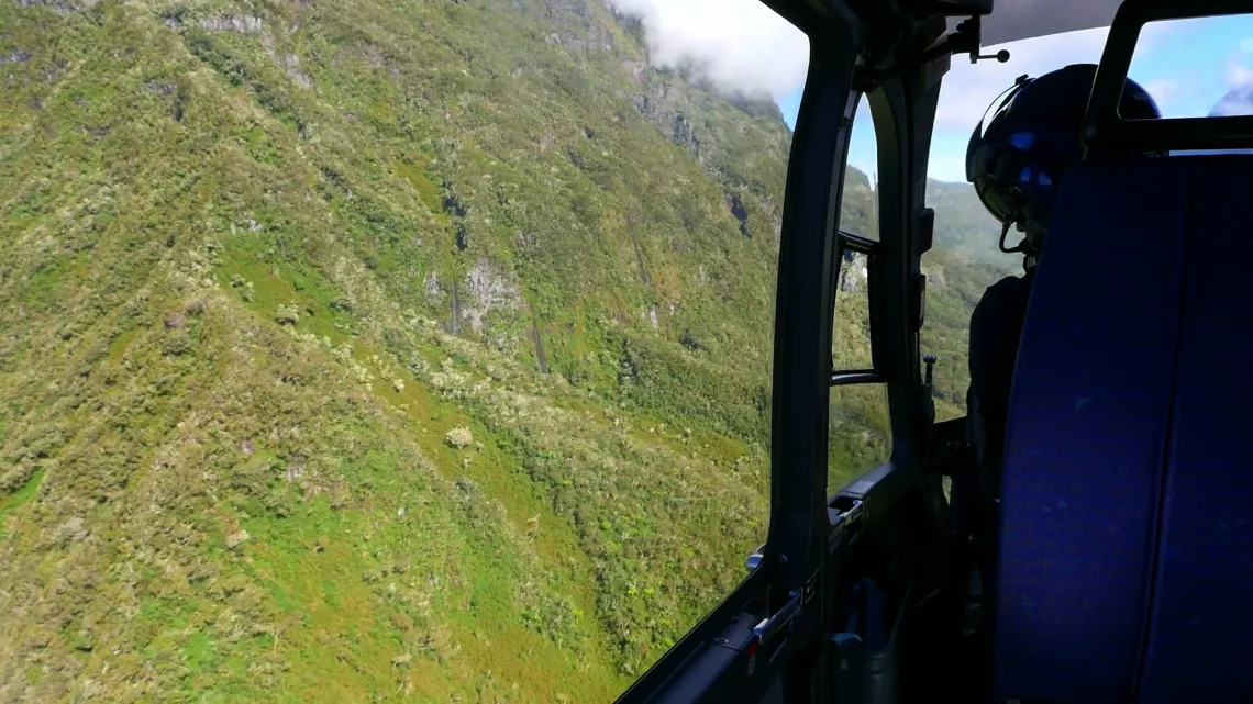 CHRONIQUES D'URGENCE : LA RÉUNION