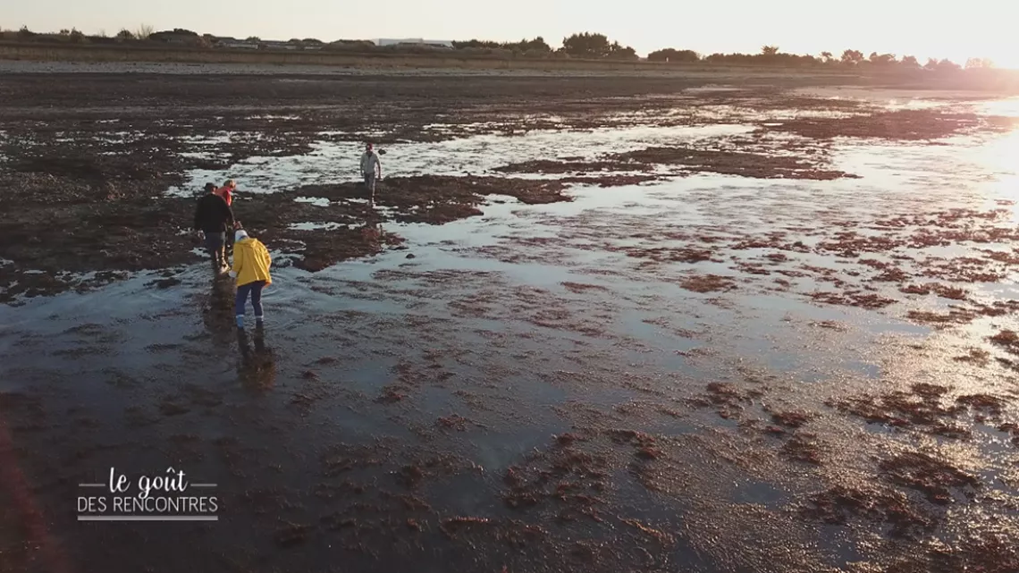La pêche au coquillages à marée basse