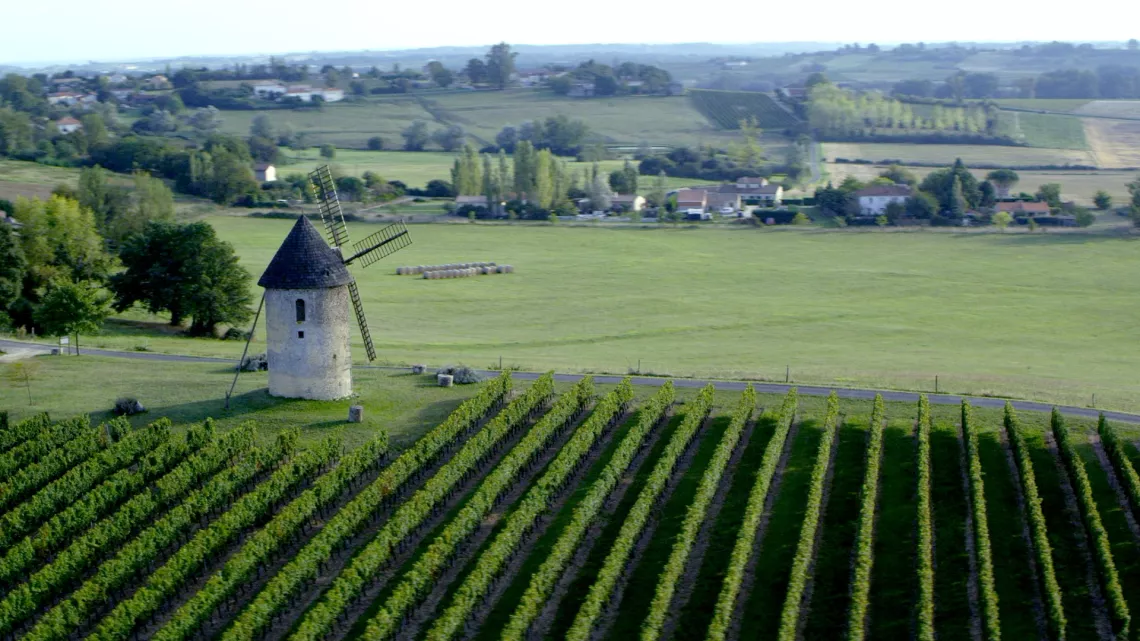 vignoble bordelais