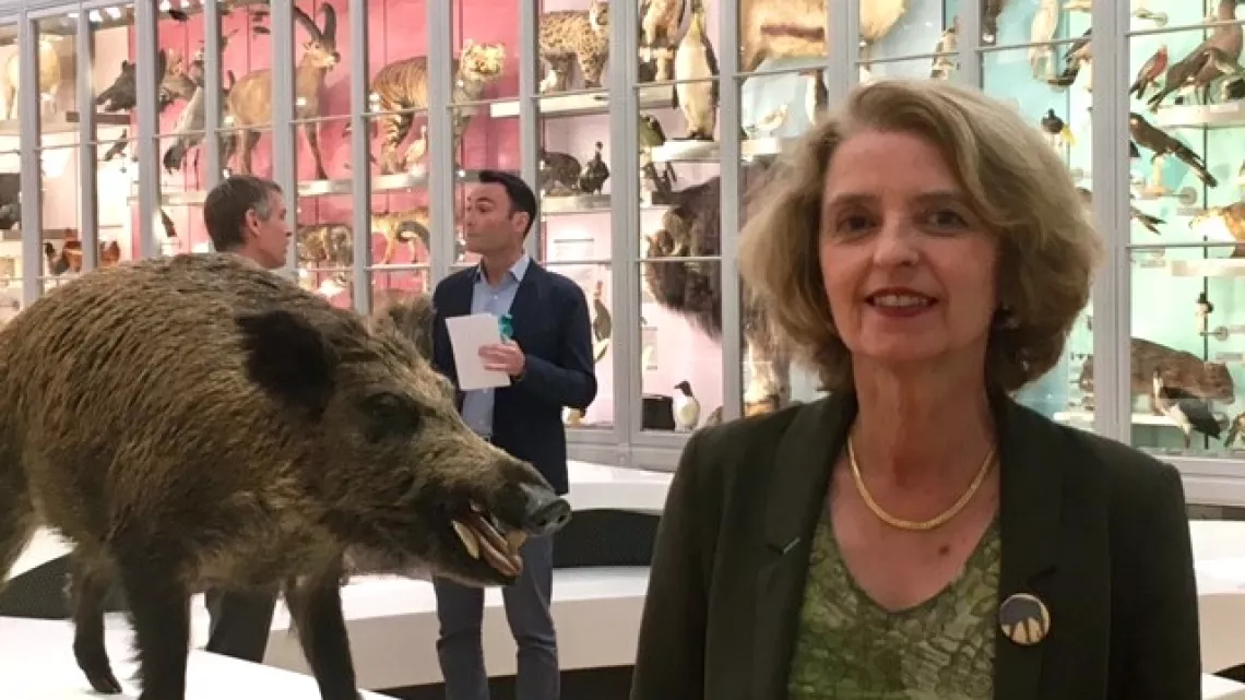 Nathalie Mémoire, conservatrice